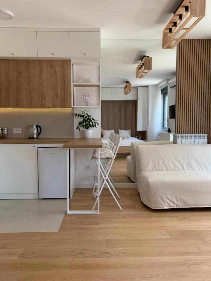 Selena Apartment Belgrad Dış mekan fotoğraf