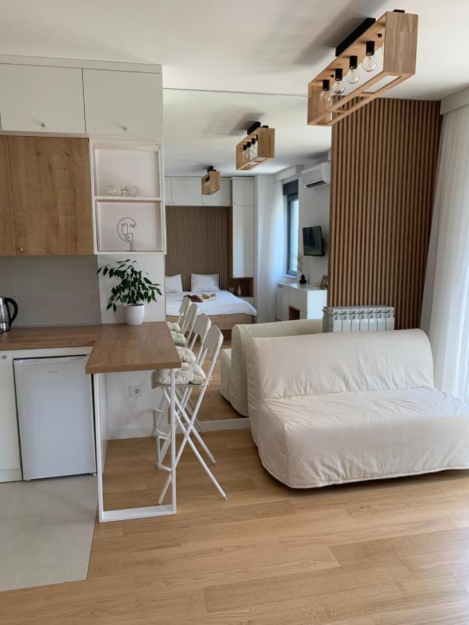 Selena Apartment Belgrad Dış mekan fotoğraf