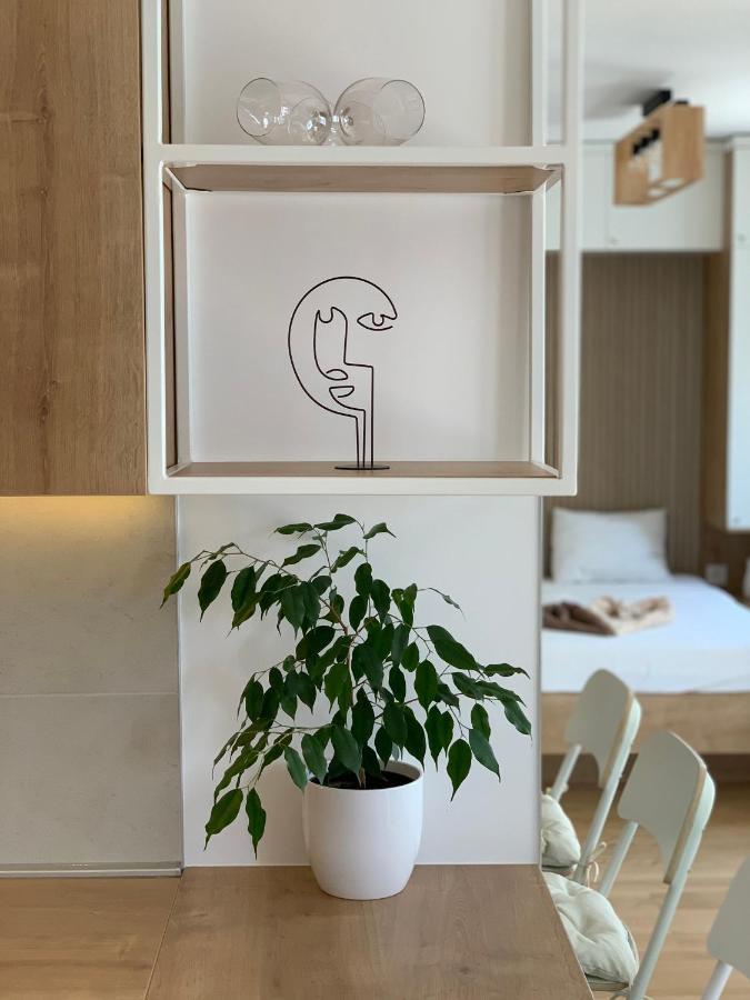 Selena Apartment Belgrad Dış mekan fotoğraf